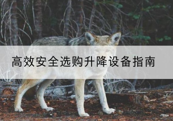 松桃升降货梯厂家推荐-*安全选购升降设备指南