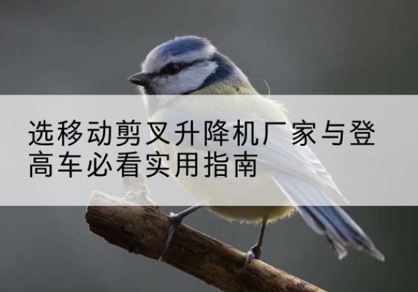 松桃电动升降机厂家-选移动剪叉升降机厂家与登高车必看实用指南
