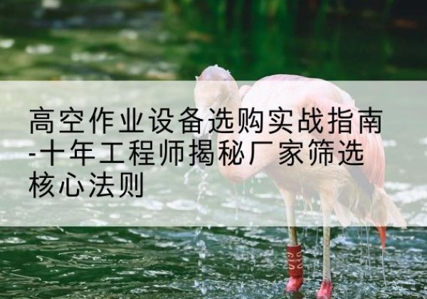 松桃剪叉式升降机厂家-高空作业设备选购实战指南-十年工程师揭秘厂家筛选核心法则